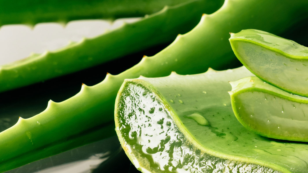 aloe-vera-weiblichkeit-haut-schoenheit